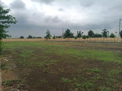 Hampton Palm Plot View 1