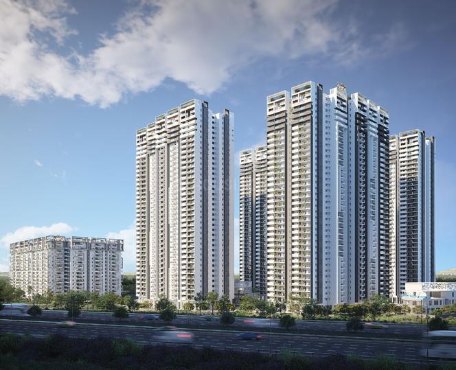 Anvita Ivana Main Image 1