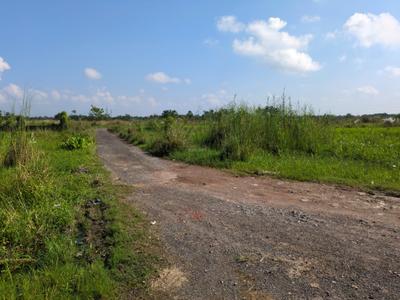 Image of 1440 Sq.ft Residential Plot / Land for sale in Wander Valley, Joka, Kolkata for Rs. 611111