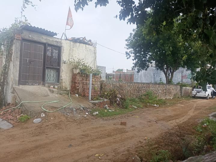 Royal green society Main Image 1