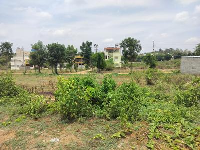 4th Stage Plot View 2