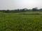 Sonargaon 2 Sonarpur Plot View 2