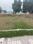 Soha Neal City Main Image 1