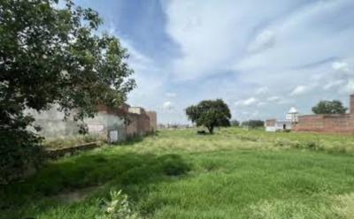 Sector 89 Plot View 1
