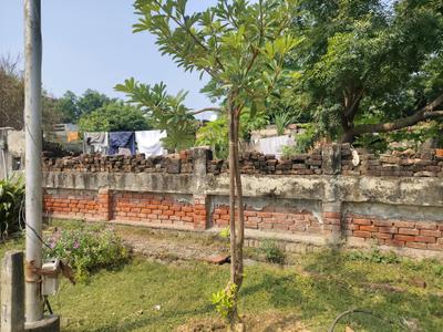 Block C Plot View 2