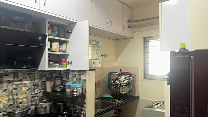 Jain Carlton Creek Main Image 1