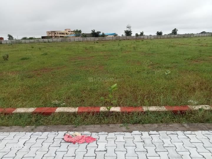 Safa Main Image 1