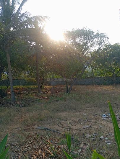 Pandian Nagar Main Image 1