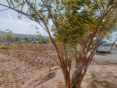 Residential Plot