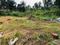 Aldona Main Image 1