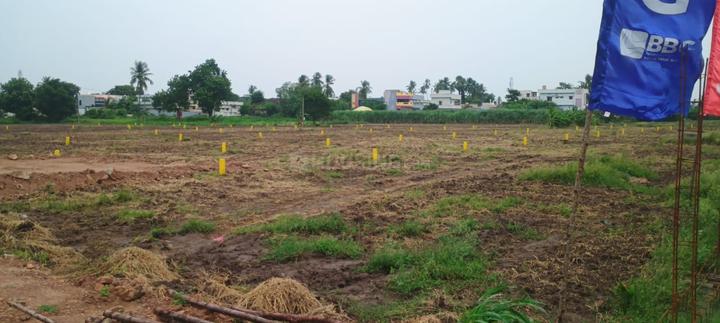 Kankipadu Main Image 1