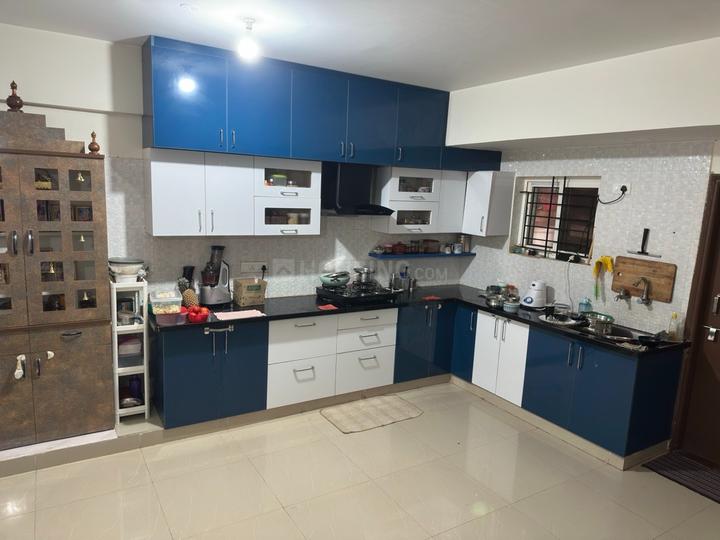 Signifa Springs Main Image 1