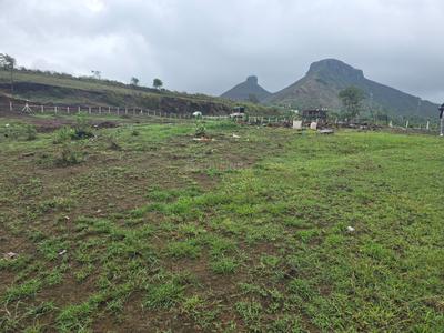 Mukane Plot View 2
