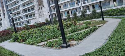 Image of 4700 Sq.ft 4 BHK Apartment / Flat for sale in Gulshan Dynasty, Sector 144, Noida for Rs. 130000000