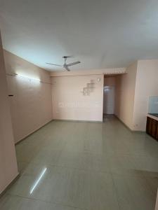 Hall Image of 650 Sq.ft 2 BHK Apartment / Flat for sale in Pyramid Urban Homes, Sector 70A Gurgaon for Rs. 6900000