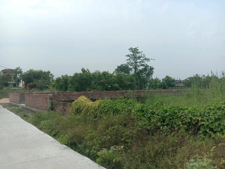 Apparent JB Garden Main Image 1