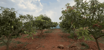 Image of 1548 Sq.ft Residential Plot / Land for sale in Mansanpally, Hyderabad for Rs. 4127828