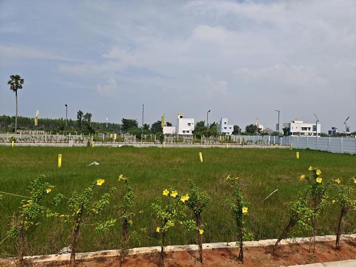 Vandalur Main Image 1