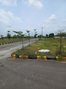 Residential Plot