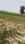 Masaurhi Plot View 2