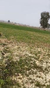 Masaurhi Plot View 2