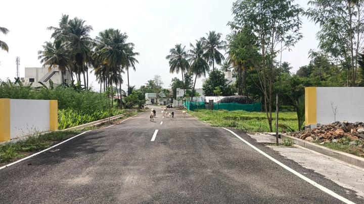Chakraa Grand Properties  Main Image 1