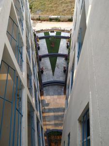 Image of 500 Sq.ft 1 RK Apartment / Flat for rent in Tada, Nellore for Rs. 7500
