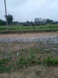 Residential Plot