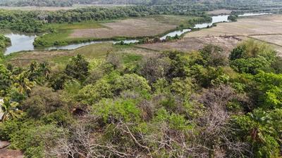 Image of 3250 Sq.ft Residential Plot / Land for sale in Aldona, Goa for Rs. 178750000