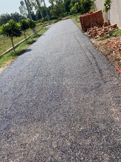 Golden Paradise Main Image 1