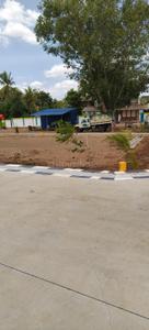 Park Avenue Plot View 3