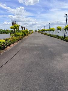 Edupugallu Plot View 3