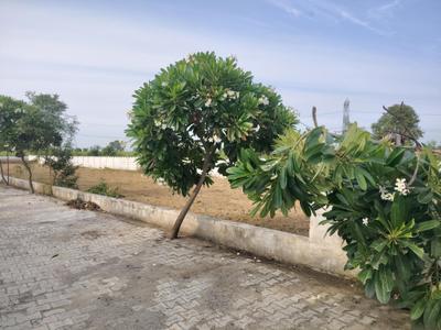 Image of 450 Sq.ft Residential Plot / Land for sale in Del NCR Aero City, Shahpur Kala, Greater Noida for Rs. 1154350