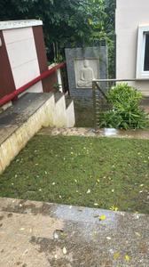 Image of 878 Sq.ft 2 BHK Apartment / Flat for rent in Sowparnika Natura, Amalanagar, Thrissur for Rs. 26000