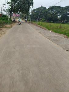 Agricultural Land