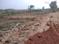 Harapur Plot View 2