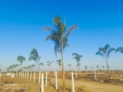 Image of 800 Sq.ft Residential Plot / Land for sale in Mandideep, Bhopal for Rs. 996000