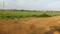 Patrapada Plot View 2