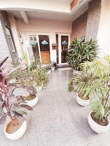 Image of Cloud Nine Co-living PG in Sector 49, Gurgaon