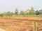 Mednipur Badripur Plot View 2