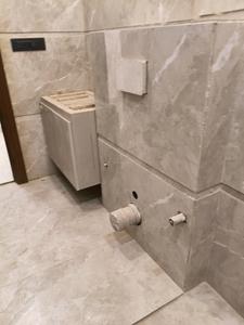 Common Bathroom Image of 1300 Sq.ft 3 BHK Apartment / Flat for sale in Emaar Emerald Floors Premier, Sector 65 Gurgaon for Rs. 33500000