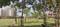 NTPC Society Main Image 1