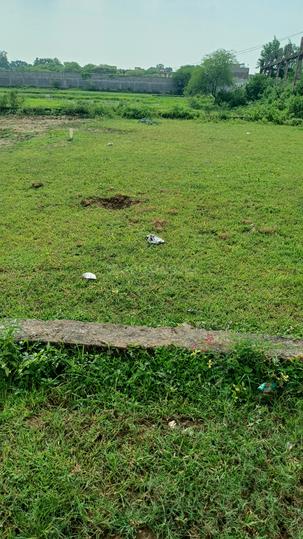 Raipura Main Image 1