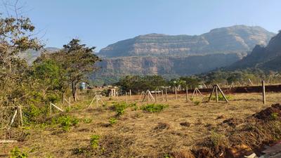 Image of 22000 Sq.ft Residential Plot / Land for sale in Shahapur, Thane for Rs. 5500000