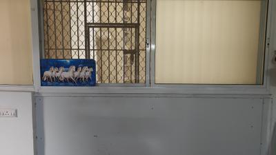 Image of 800 Sq.ft 2.5 BHK Apartment / Flat for sale in Pigeon Spring Meadows, Noida Extension, Greater Noida for Rs. 9000000
