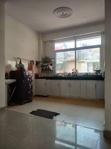 Hall Image of Homely PG in Sector 102, Noida