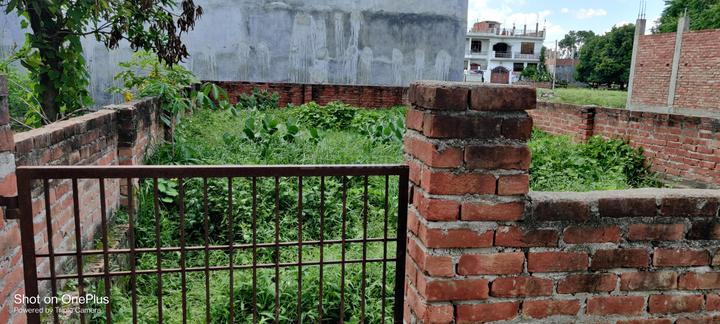 Sarojini Nagar Main Image 1