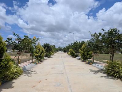 Residential Plot