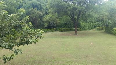 Image of 4000 Sq.ft 2 BHK Villa for rent in Fatehpura, Udaipur for Rs. 100000