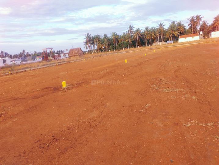 Udumalpet Main Image 1